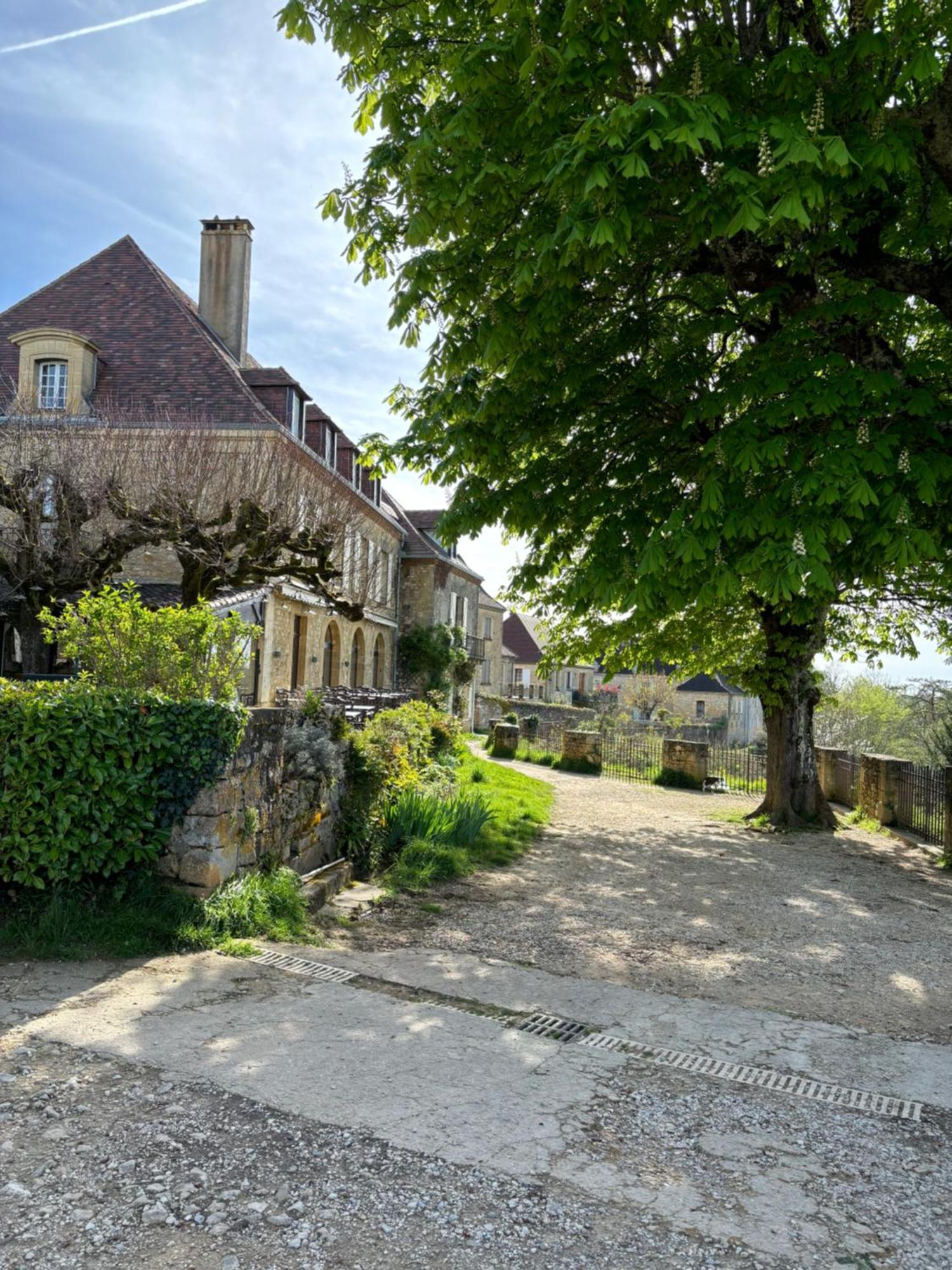 Maison De La Combe * Domme